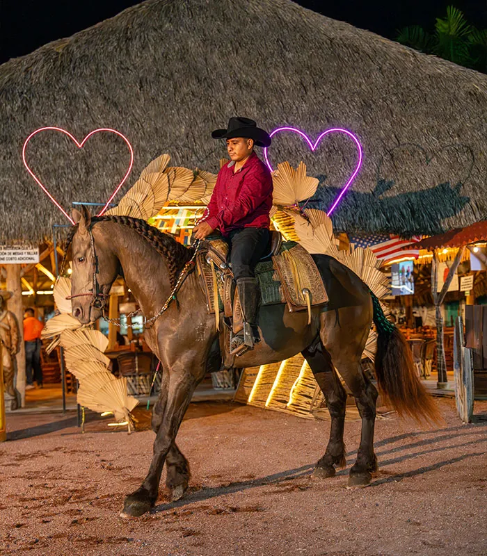 Introducción de Alpuyeca Corazón Tequilero